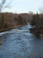 MILL CREEK JEFFERSON NORTHERN NY 12-15-2012_00005.JPG