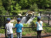 CHITTENANGO FALLS MADISON CENTRAL NY 9-05-2012_00003.JPG