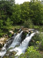 CHITTENANGO FALLS MADISON CENTRAL NY 9-05-2012_00004.JPG