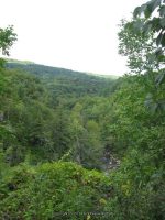 CHITTENANGO FALLS MADISON CENTRAL NY 9-05-2012_00032.JPG