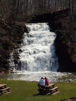 Holley Canal Falls Orleans County Western New York 4-12-2014_00006.JPG