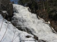 SCUDDERS MONTGOMERY EASTERN NY 3-17-2011_00007.JPG