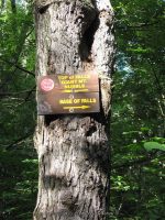 ROARING BROOK ESSEX NORTHERN NY 8-10-2011_00003.JPG