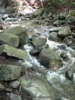 ROARING BROOK ESSEX NORTHERN NY 8-10-2011_00004.JPG