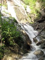 ROARING BROOK ESSEX NORTHERN NY 8-10-2011_00006.JPG