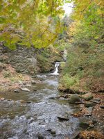 DECKERTOWN SCHUYLER CENTRAL NEW YORK 10-19-2010_00002.JPG