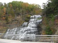 HECTOR SCHUYLER CENTRAL NEW YORK 10-19-2010_00002.JPG