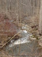 Mill Road Falls Niagara County Western New York 4-12-2014_00001.JPG