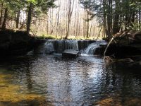 MANLEY TAYLOR ONEIDA CENTRAL NEW YORK 4-24-2010_00006.JPG