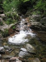 RAINBOW FALLS ESSEX NORTHERN NEW YORK 8-11-2011_00013.JPG