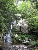 WEDGEBROOK ESSEX NORTHERN NY 8-11-2011_00002.JPG