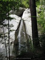 PYRAMID BROOK ESSEX NORTHERN NY 8-11-2011_00003.JPG