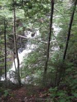 IMG_0124.JPG
