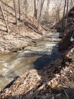 Reds Falls Monroe County Western New York 4-12-2014_00008.JPG