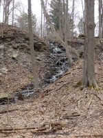 Akron Falls Park Erie County Western New York 4-13-2014_00008.JPG