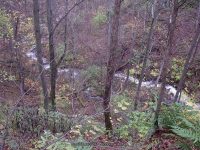 OXBOW FALLS MADISON CENTRAL NY 10-20-2006_00018.JPG