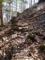 Emery Falls Erie County Western New York 4-13-2014_00019.JPG