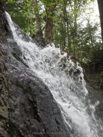 CASCADE LAKE HAMILTON NORTHERN NY 5-19-2010_00027.JPG