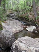 CASCADE LAKE HAMILTON NORTHERN NY 5-19-2010_00033.JPG