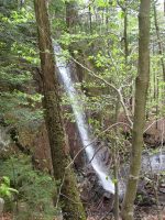 CASCADE LAKE HAMILTON NORTHERN NY 5-19-2010_00046.JPG