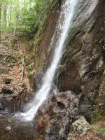 CASCADE LAKE HAMILTON NORTHERN NY 5-19-2010_00050.JPG