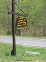 CASCADE LAKE HAMILTON NORTHERN NY 5-19-2010_00078.JPG