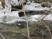 F1 3-6-2013_00003.JPG