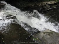 F1 6-8-2011_00003.JPG