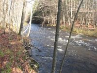 F1 10-26-2008_00003.JPG