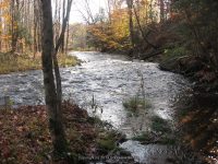 F1 10-26-2008_00004.JPG