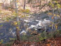 F1 10-26-2008_00006.JPG