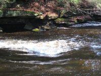 F1 10-26-2008_00007.JPG