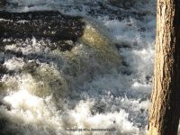 F1 10-26-2008_00012.JPG