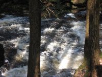 F1 10-26-2008_00013.JPG