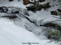 F2 3-6-2013_00002.JPG
