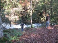 F2 10-26-2008_00001.JPG