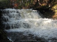 F2 10-26-2008_00007.JPG