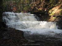 F2 10-26-2008_00008.JPG