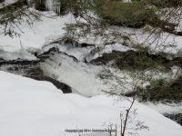 F3 3-6-2013_00001.JPG