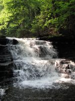 F3 6-8-2011_00002.JPG