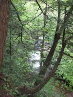 F3 6-8-2011_00003.JPG