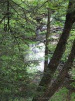 F3 6-8-2011_00004.JPG