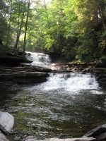 F3 6-8-2011_00006.JPG