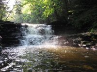 F3 6-8-2011_00007.JPG
