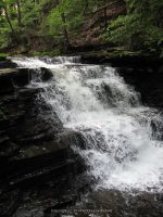 F3 6-8-2011_00009.JPG