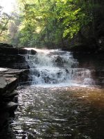 F3 6-8-2011_00010.JPG