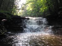 F3 6-8-2011_00011.JPG