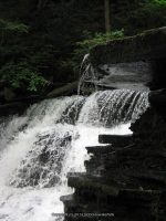 F4 6-8-2011_00008.JPG