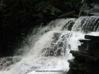 F4 6-8-2011_00009.JPG