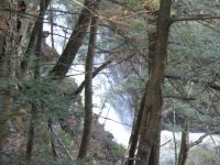 F5 10-26-2008_00006.JPG